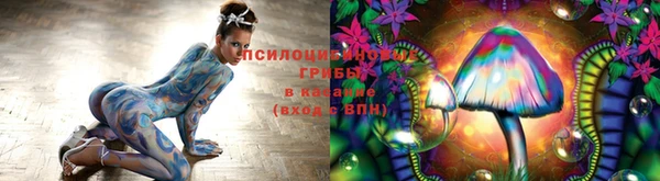 ГАЛЛЮЦИНОГЕННЫЕ ГРИБЫ Белокуриха