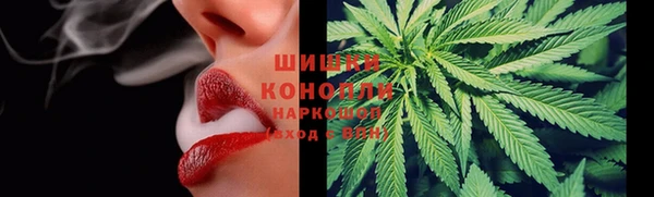 гидра Белоозёрский