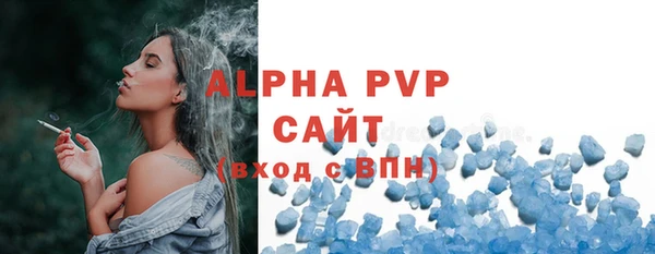 ГАЛЛЮЦИНОГЕННЫЕ ГРИБЫ Белокуриха