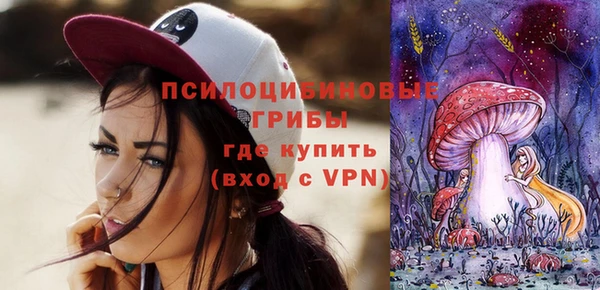 гидра Белоозёрский