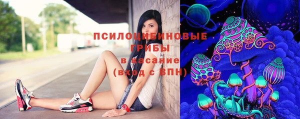ГАЛЛЮЦИНОГЕННЫЕ ГРИБЫ Белокуриха