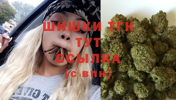гидра Белоозёрский