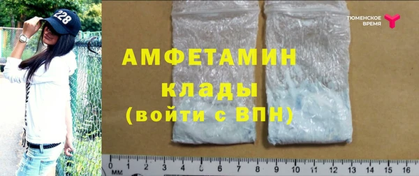 ГАЛЛЮЦИНОГЕННЫЕ ГРИБЫ Белокуриха