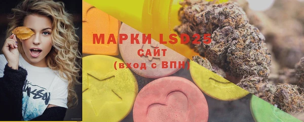 ГАЛЛЮЦИНОГЕННЫЕ ГРИБЫ Белокуриха
