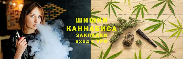 ГАЛЛЮЦИНОГЕННЫЕ ГРИБЫ Белокуриха