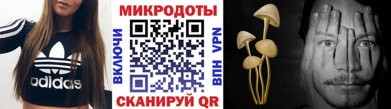 Псилоцибиновые грибы Cubensis  Павловск 